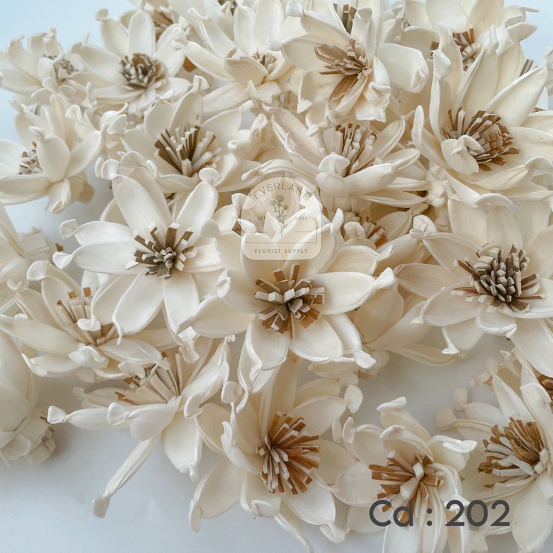 Jual Sola Wood Flower 6 - 6,5 cm | Bunga Kayu Sola 6 - 6,5 cm | Shopee ...