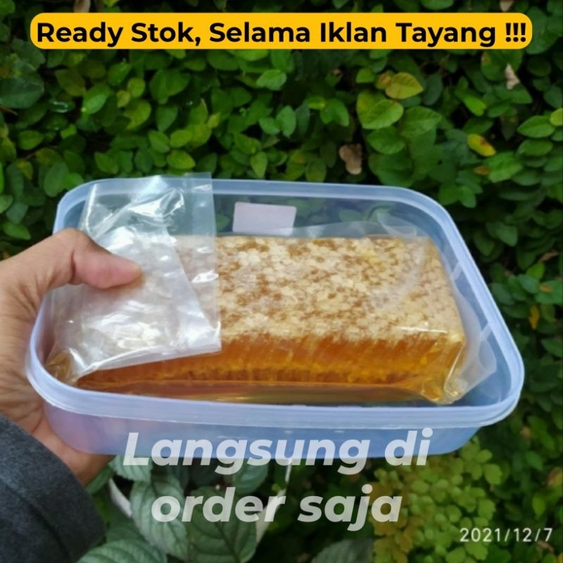 Jual Madu Sarang Asli Murni 500 Gram Honeycomb Original 500gr Honey