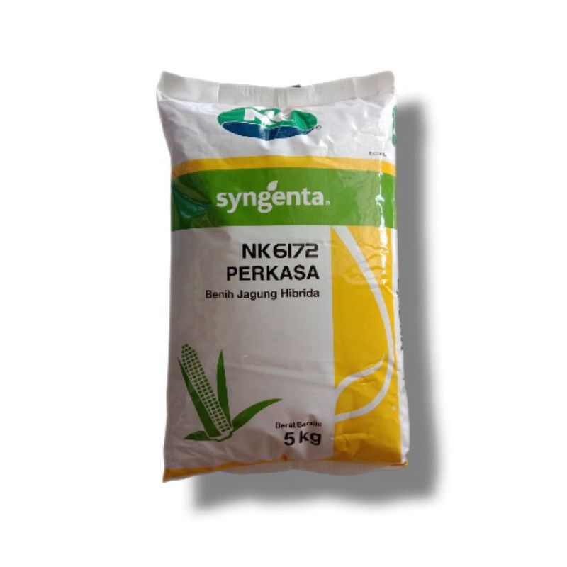 Jual Benih Jagung Hibrida NK 6172 Perkasa 5Kg - Cap Syngenta | Shopee ...