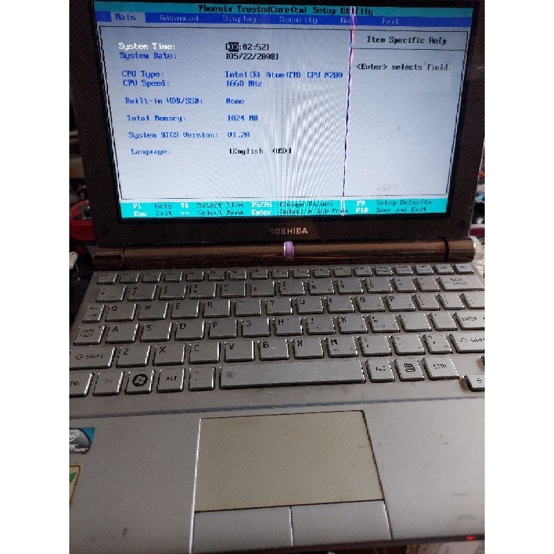 Écran LCD LED 10.1" Pour Toshiba NB200-11L - Dalle WSVGA Compatible, Neuve Avec Garantie 1 An