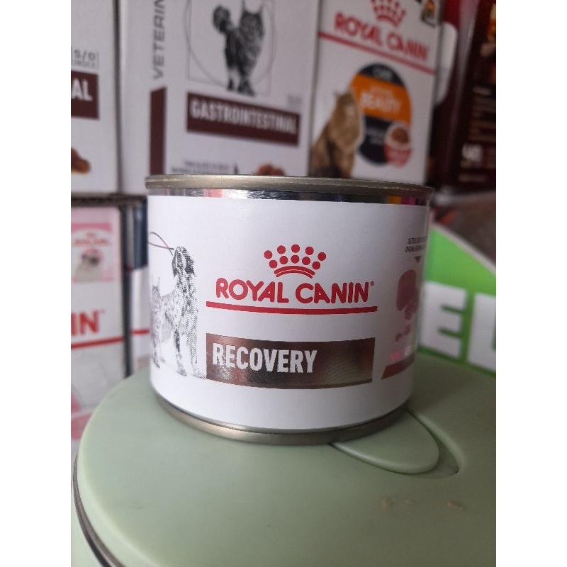Jual royal canin recovery 195 g | Shopee Indonesia