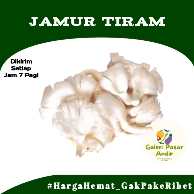 Jual Jamur Tiram Segar Murah 250g Shopee Indonesia