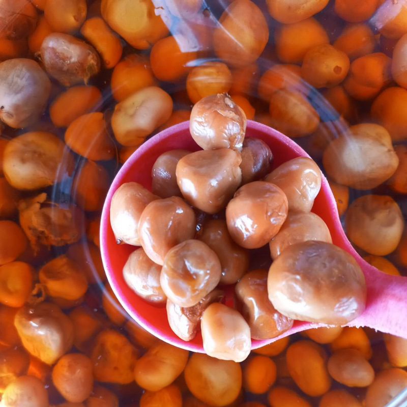Jual Asam Maram Tanpa Biji Besar/Atapson Mofut Besar/Asam Paya Non Biji ...