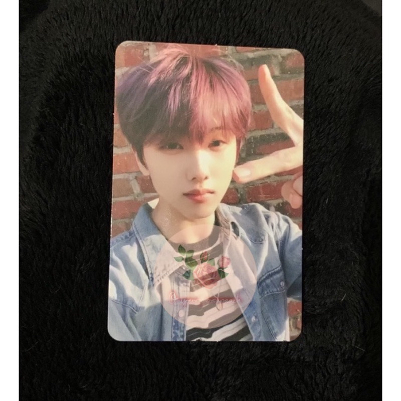 Jual pc photocard official ar selca jisung jewel case hot sauce
