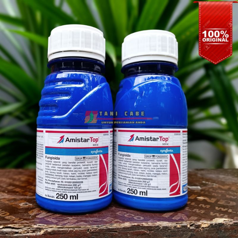 Jual AMISTAR TOP 325 SC -FUNGISIDA- KEMASAN 250 ML | Shopee Indonesia