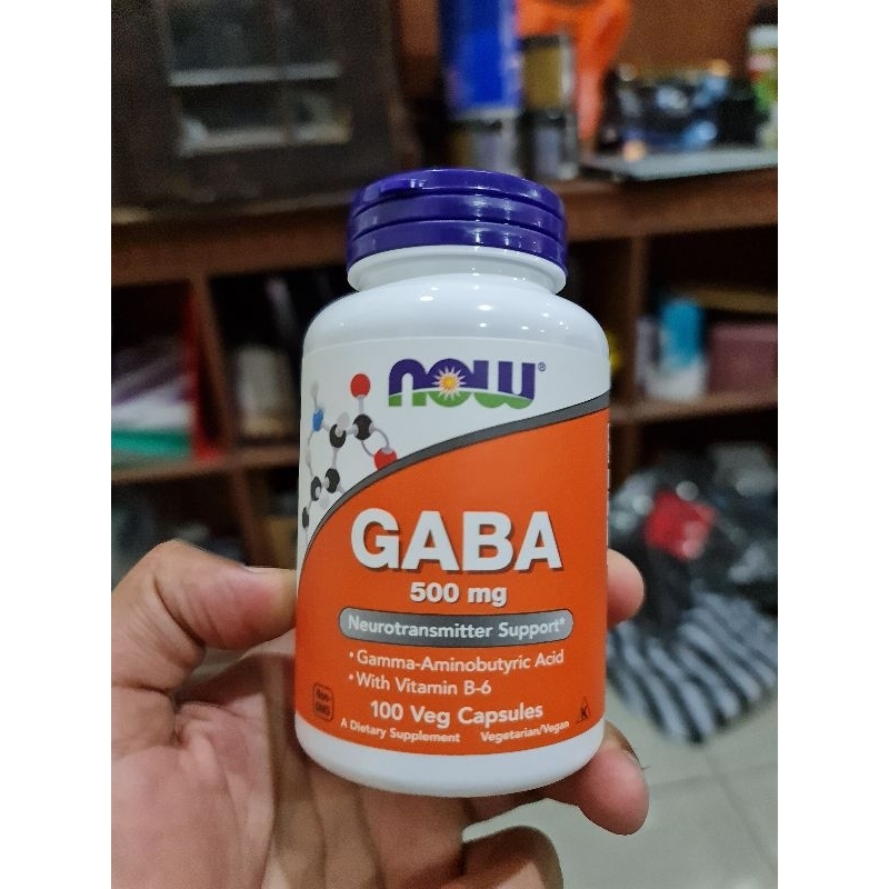 Jual Now Foods Gaba 500 Mg 100 Capsule Relaxation And Reduce Stress Shopee Indonesia