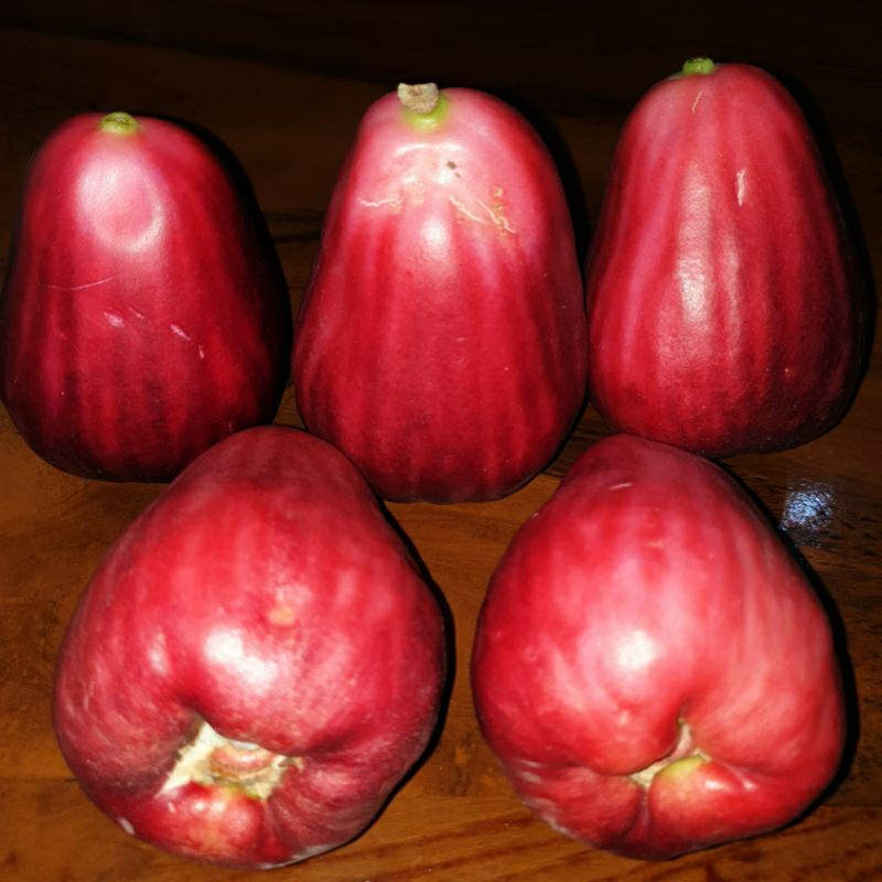 Jambu Bol Online: Manisnya Bisnis Buah Segar di Era Digital