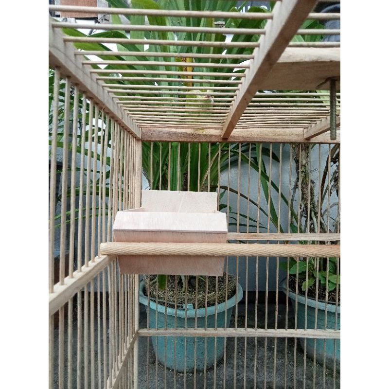 Jual Tempat sarang burung kenari | Shopee Indonesia