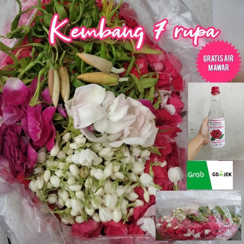 Bunga 7 Rupa Dan Gambarnya