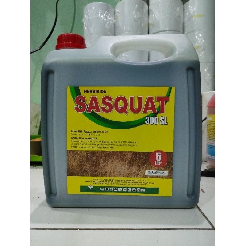 Jual Herbisida Kontak Sasquat 300SL 5 liter Para kuat Atasi Rumput ...