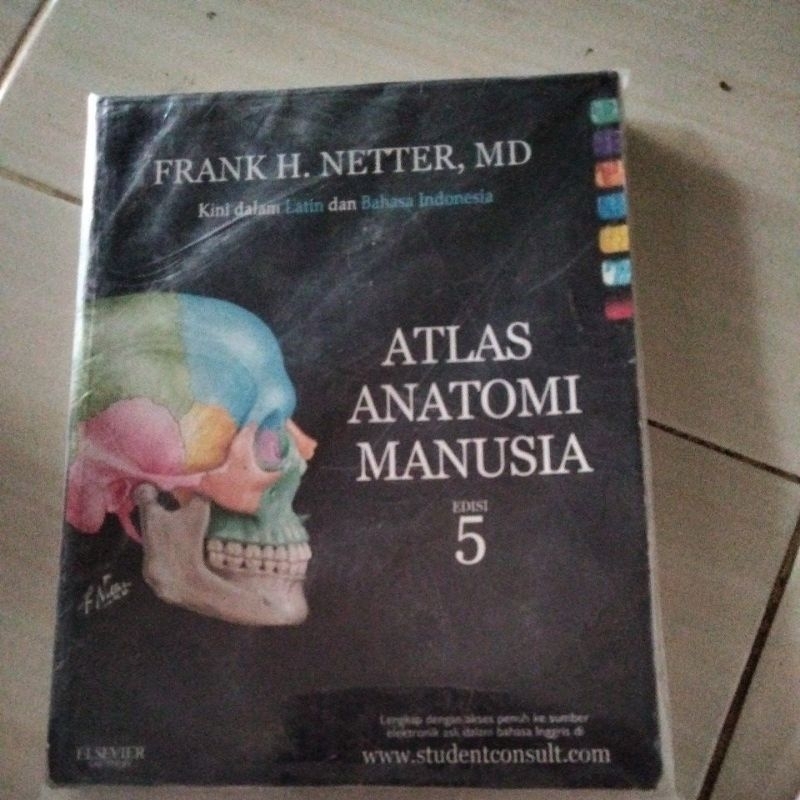 Jual Atlas Anatomi Manusia Edisi 5 Netter (original Bekas) | Shopee ...