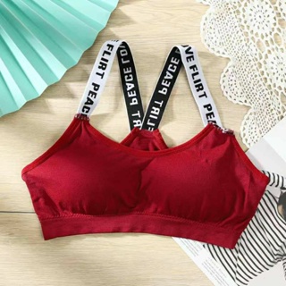 Qoo10 - Aily Crop Top Bra Tanktop Knit Wanita ZR25_Knit Sports Bra Wanita  ZR46 : Lingerie & Sleepwea