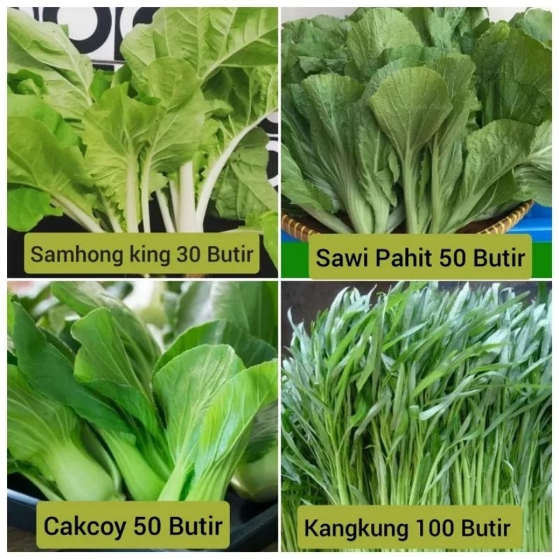 PAKET 4 JENIS BIJI/BENIH SAYURAN HIJAU (REPACK)