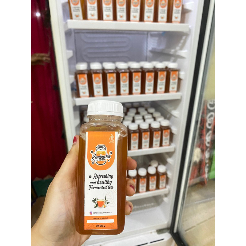 Jual Minuman Kombucha 250ml Shopee Indonesia 3955