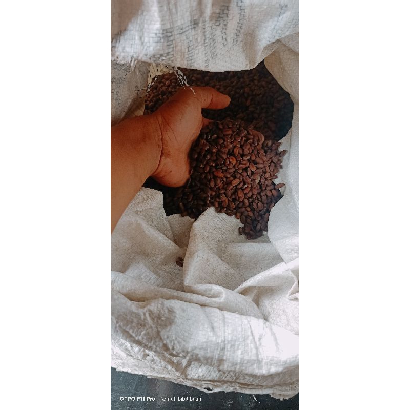 Menebar Benih Sukses: Panduan Lengkap Bisnis Online Jual Biji Tanaman