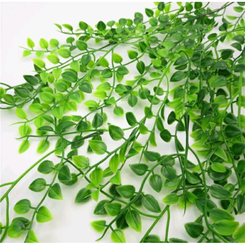 Jual Daun rambat kemuning / rambat kuaci artificial | Shopee Indonesia