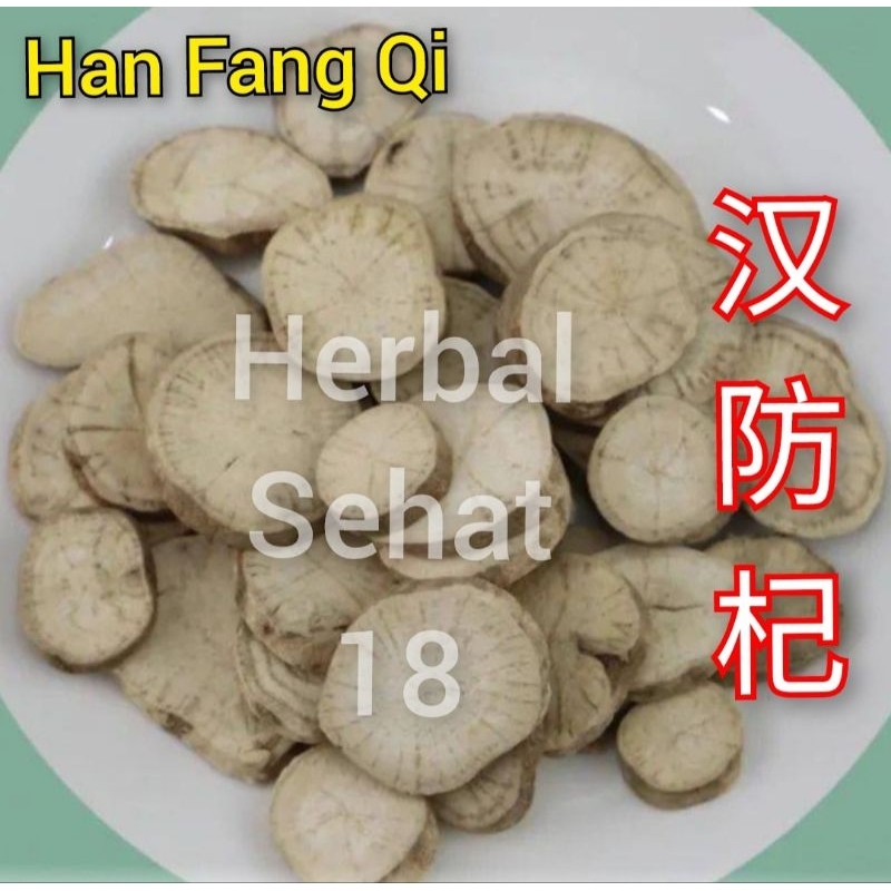 Jual Han Fang Ji Hanfang Qi / Fangqi Radix Aristolochiae Fangchi ...