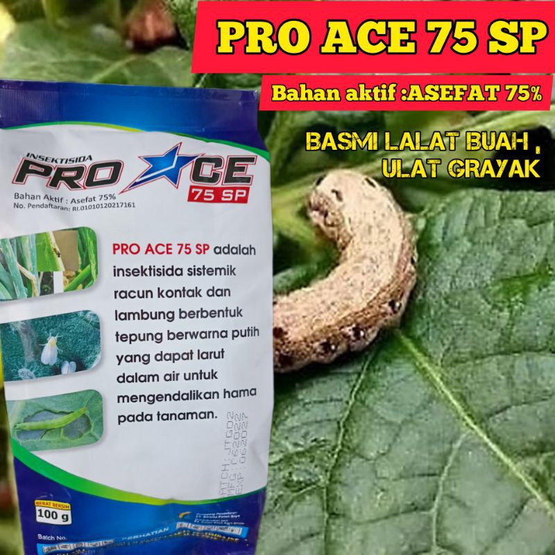 Jual INSEKTISIDA PRO ACE ASEFAT 75 SP -JOKER 100 GRAM | Shopee Indonesia