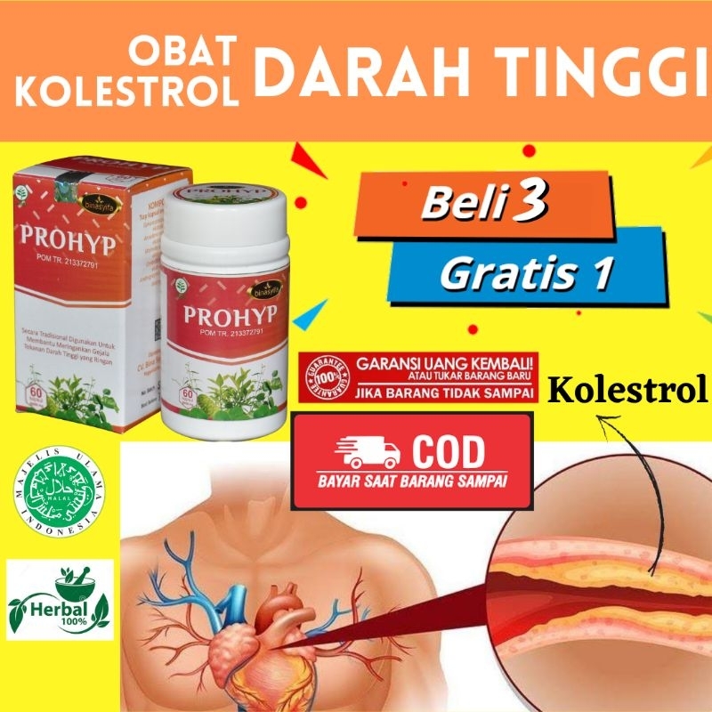 Jual Obat Darah Tinggi Obat Hipertensi Obat Penurun Tekanan Darah Tinggi Prohyp Herbal Paling 2307