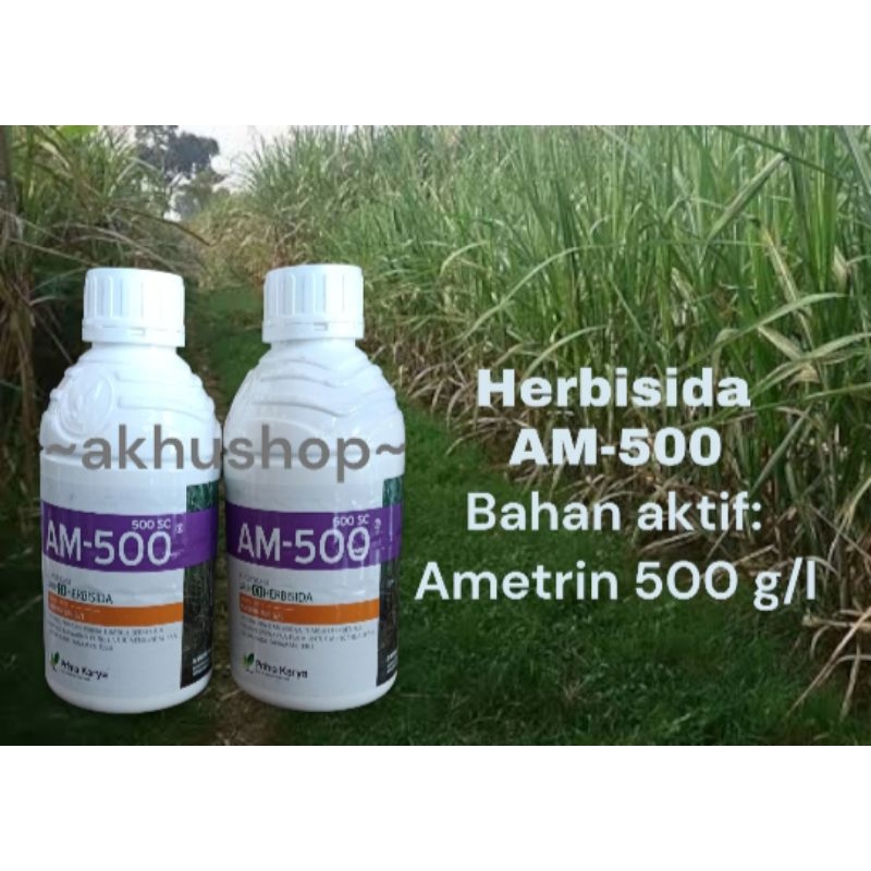 Jual Herbisida Am 500 500 Sc 1 Liter Bahan Aktif Ametrin 500 G L Obat