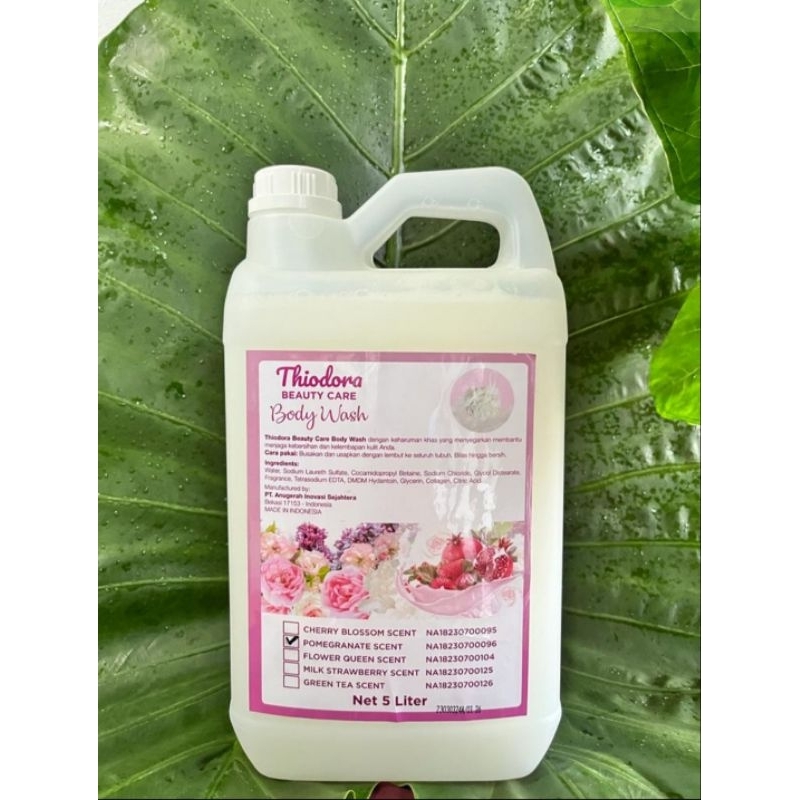 Jual sabun mandi cair moisturizer thiodora 5 liter wangi parfum mewah