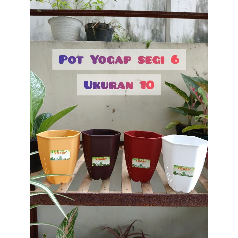 Jual Pot plastik Yogap segi 6 Ukuran 10 - Pot bunga/tanaman hias warna ...