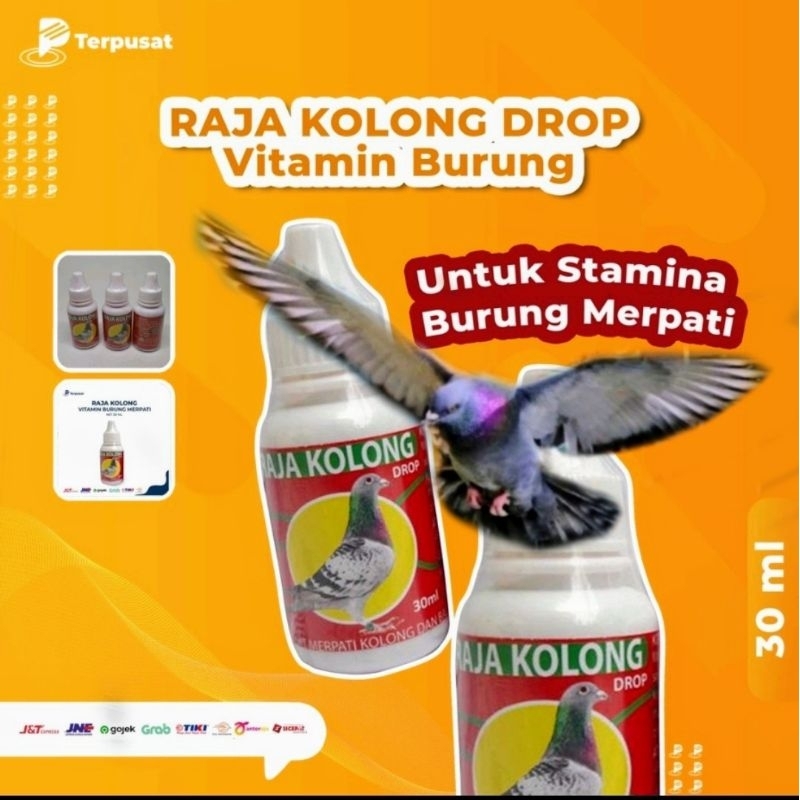 Jual Raja Kolong Drop Merpati 30ml - Obat Merpati Kolong dan Balap ...