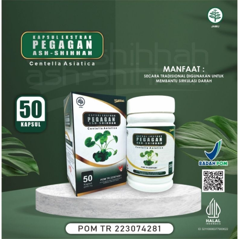 Jual Ekstrak Daun Pegagan Herbal Pegagan Ash Shihhah Antanan Isi