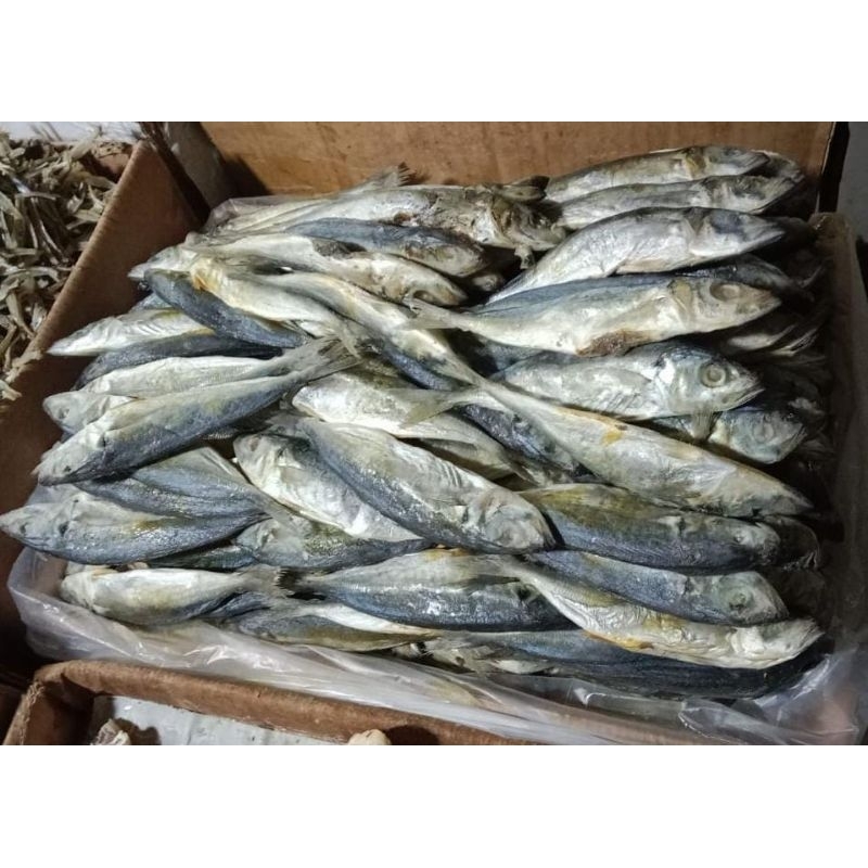 Jual Ikan Asin Layang Japuh 1kg Shopee Indonesia