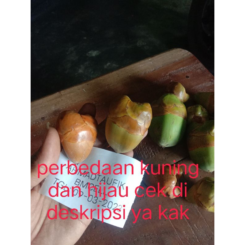 Jual (KUNING SUPERAN) (13-02-2026)baca deskripsi buah kelapa muda kecil ...