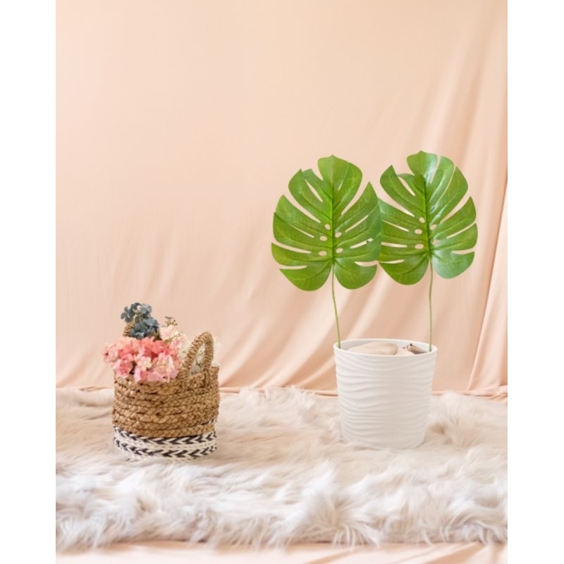 Jual KAIN BACKDROP CREAM BACKGROUND DEKORASI DECOR POLOS LAYAR FOTO ...