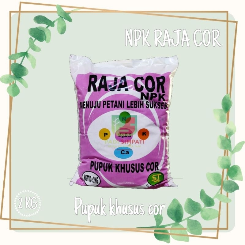 Jual PUPUK NPK RAJA COR (Pupuk Khusus Cor) 2kg | Shopee Indonesia