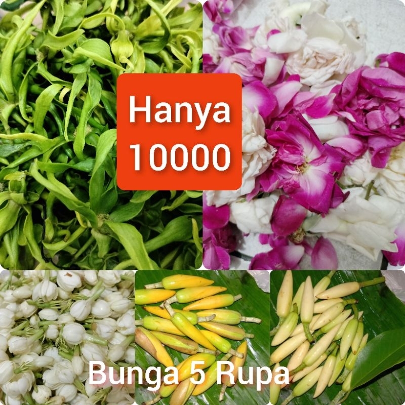 Jual bunga 5 rupa kembang setaman lima macam mawar melati kenanga ...
