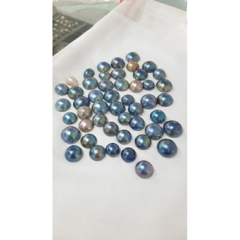 Jual mabe kulit kerang mutiara laut | Shopee Indonesia