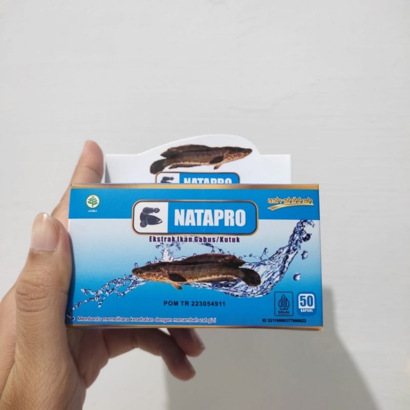 Jual Natapro Pro Albumin BPOM Ekstra Ikan gabus ikan kutuk 50 kapsul ...