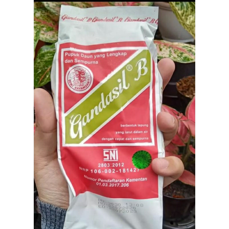 Jual Gandasil B Pupuk Buah Dan Bunga 100gram | Shopee Indonesia