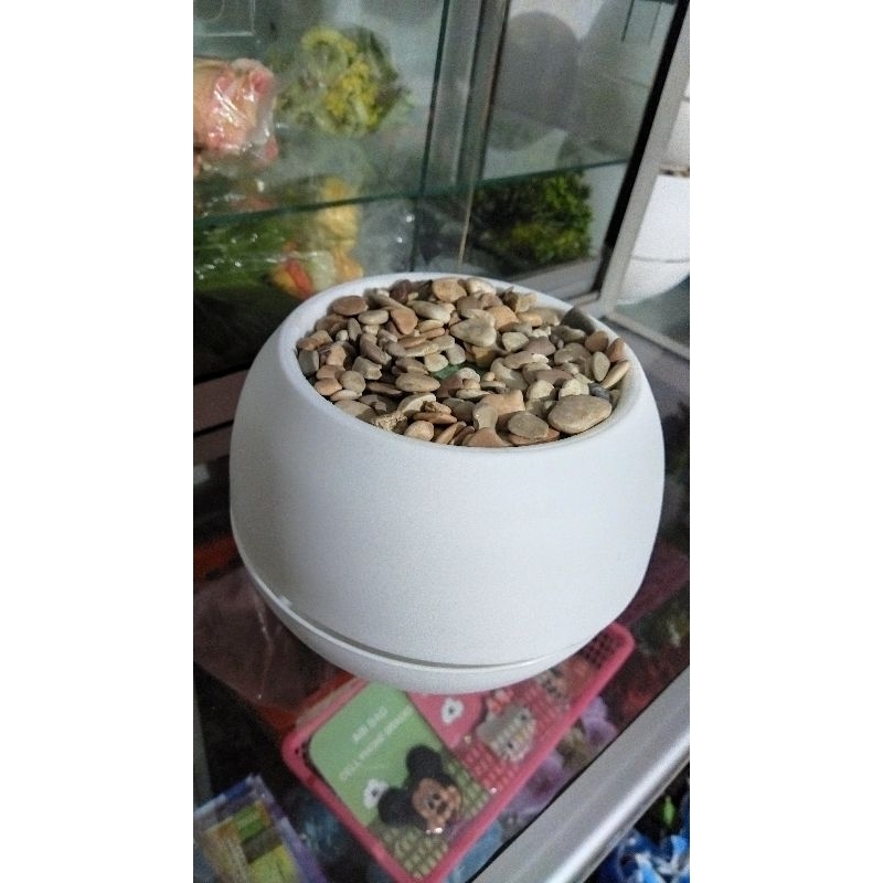 Jual Pot Vienna Bulat Premium + Busa + Batu Alam Murah | Shopee Indonesia