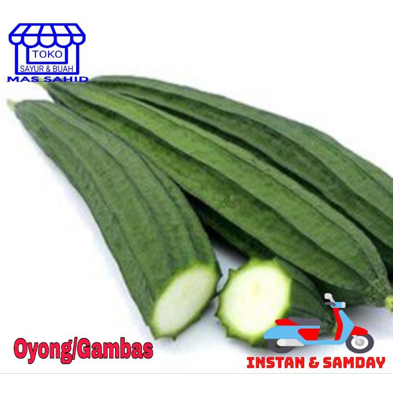 Jual Sayur Oyong Gambas 1 Kg Shopee Indonesia