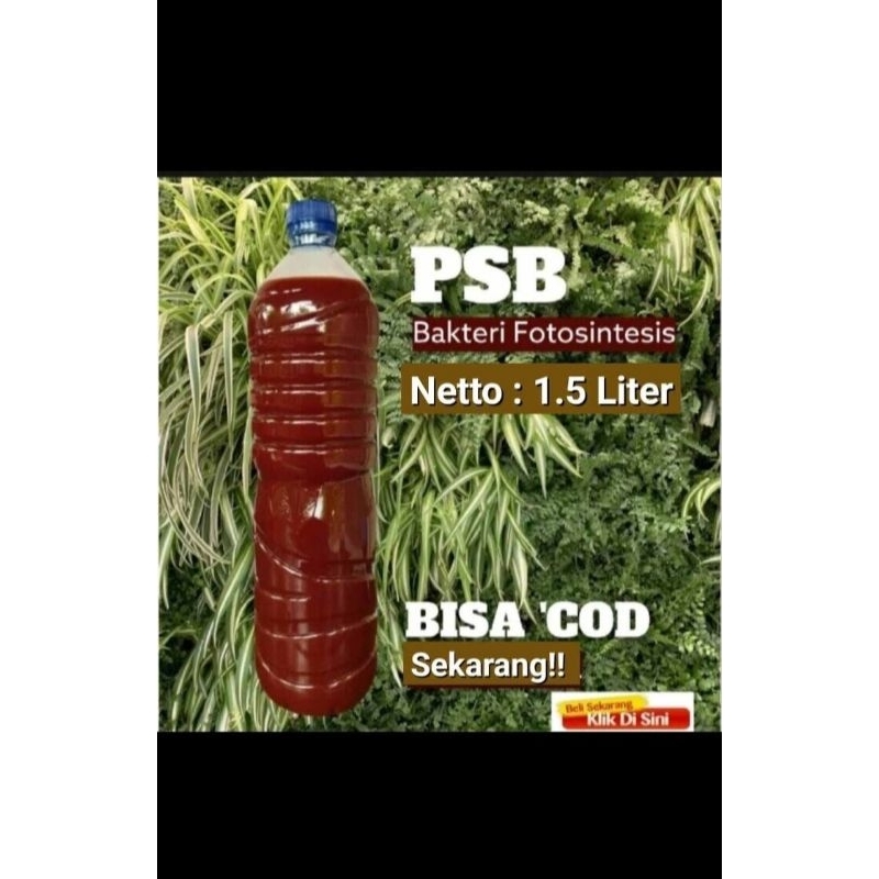 Jual Psb Bakteri Fotosintesis Biang Psb Liter Shopee Indonesia