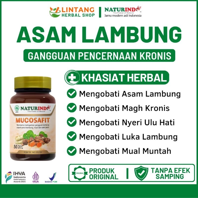 Jual Obat Asam Lambung Kronis Herbal Ampuh Magh Maag Gerd Mucosafit Shopee Indonesia