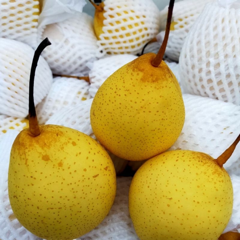 Jual Pear Yalie Shopee Indonesia 