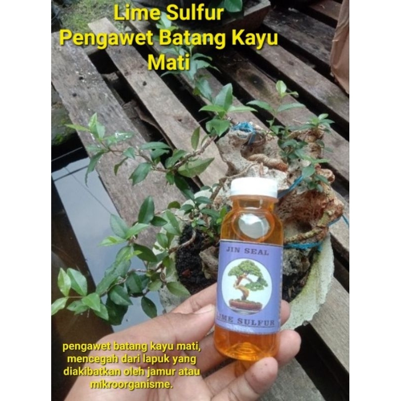 Jual Lime Sulfur 100 ml Obat Jin Pengawet Kayu Mati Bonsai Shopee