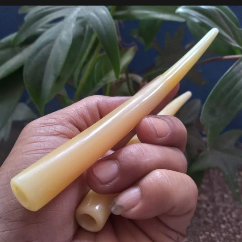 Jual COD ONCE TULANG SAPI BULAT KUNING MIRIP GADING RASA GURIH PANJANG ...