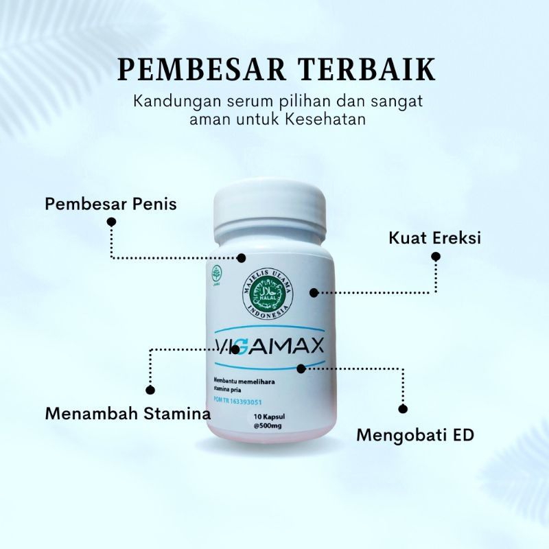 Jual Vigamax Capsul 100 Bpom Original Asli Garansi Suplemen Herbal Alami Vitalitas Stamina Pria