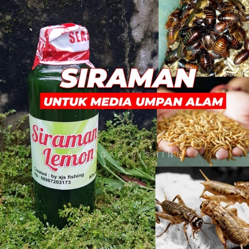 Jual Siraman Untuk Umpan Alam Galatama Lele Shopee Indonesia