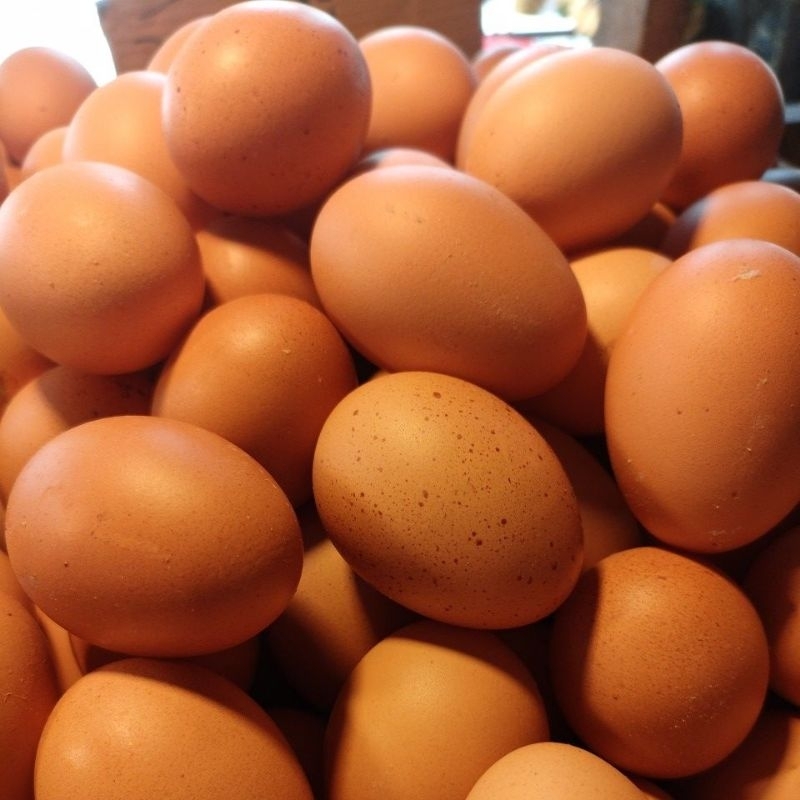 Jual Telur Ayam Ras Jumbo (Isi 3) | Shopee Indonesia