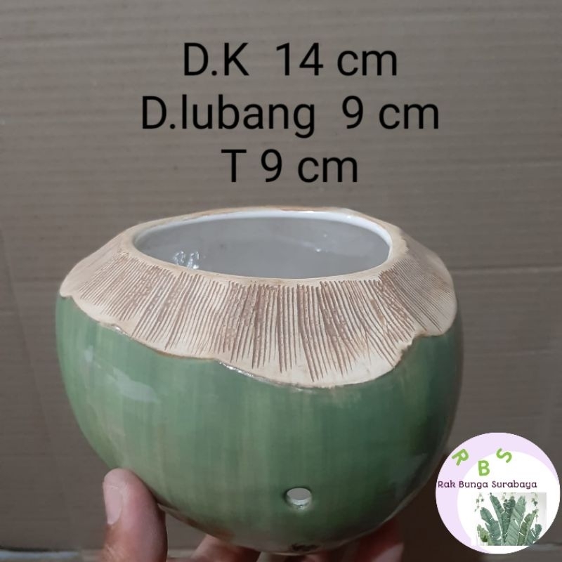 Jual Pot Keramik Unik Model Kelapa Shopee Indonesia