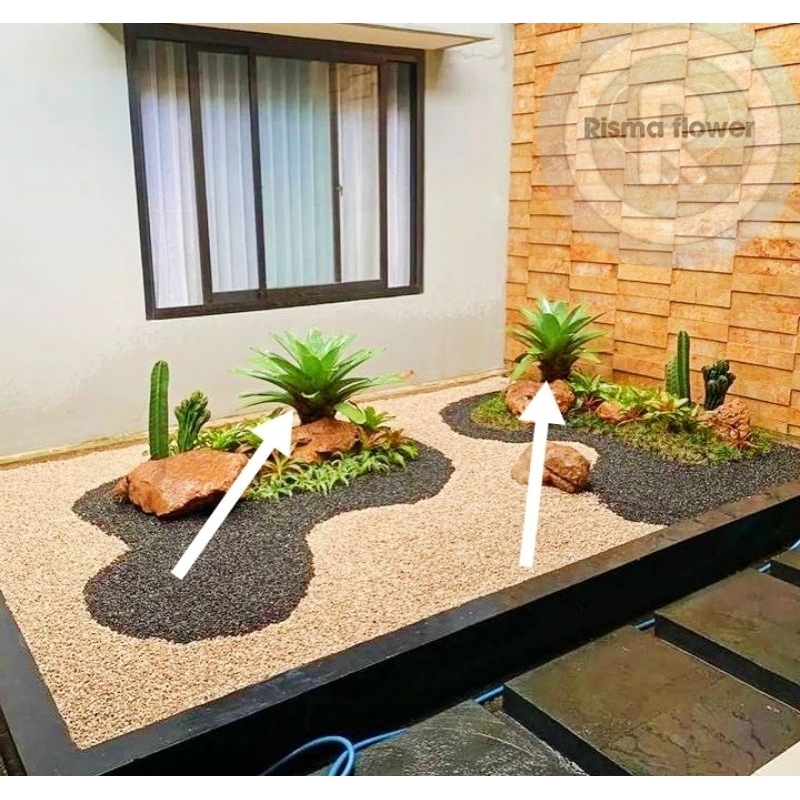 Jual Tanaman hias pohon bromelia giant besar ( tanaman untuk taman