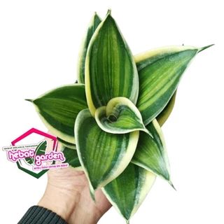 Shopee Indonesia | Situs Belanja Online Terlengkap & Terpercaya