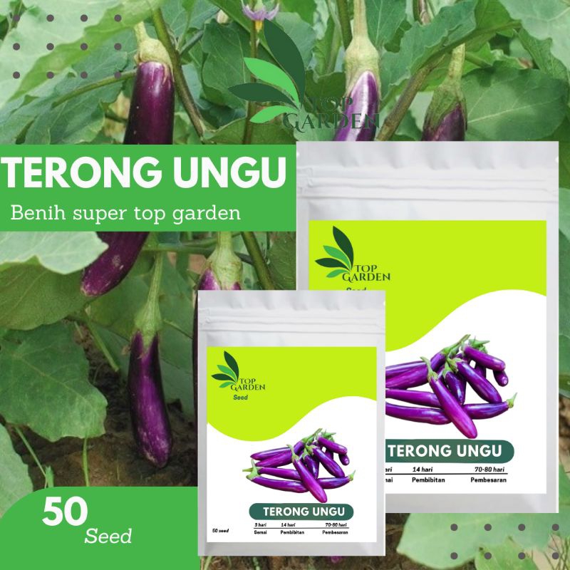 TOP GARDEN BENIH BIBIT SAYURAN TERONG UNGU BIJI TERONG UNGU